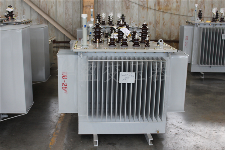 辽宁S20-800kVA/10kV/0.4kV变压器